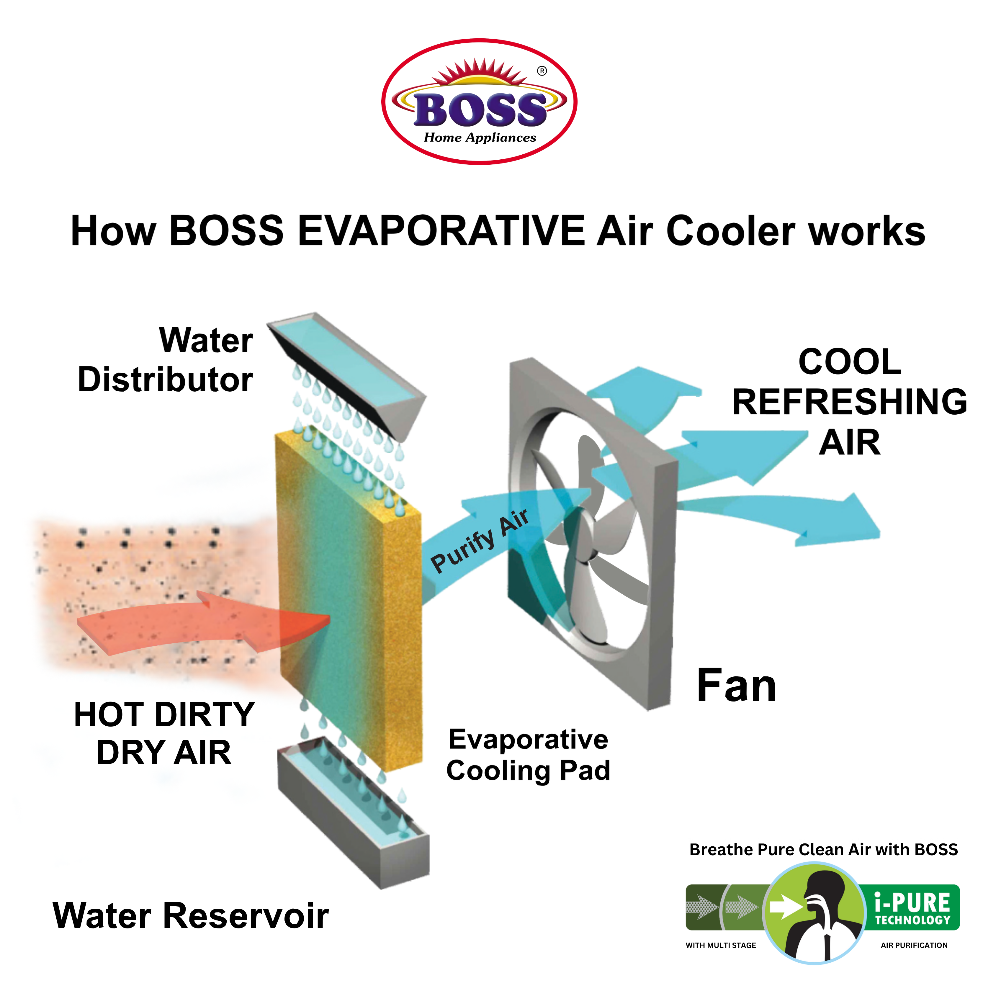 Boss Room Cooler - ECM 8000 IB XL